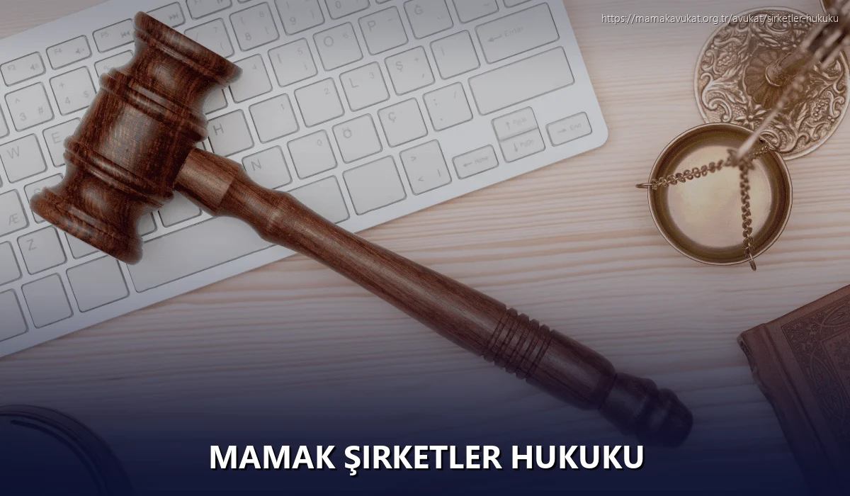 Mamak Şirketler Hukuku